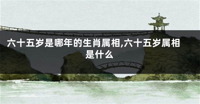 六十五岁是哪年的生肖属相,六十五岁属相是什么