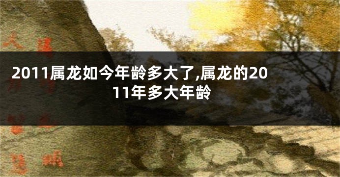 2011属龙如今年龄多大了,属龙的2011年多大年龄