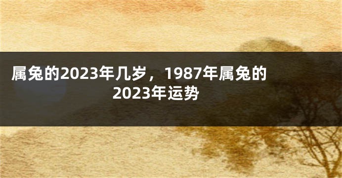 属兔的2023年几岁，1987年属兔的2023年运势