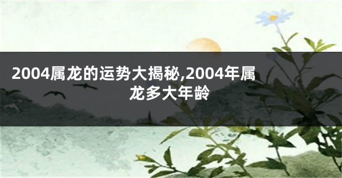 2004属龙的运势大揭秘,2004年属龙多大年龄