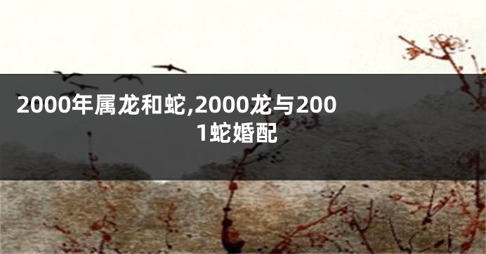 2000年属龙和蛇,2000龙与2001蛇婚配