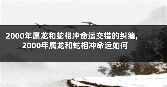 2000年属龙和蛇相冲命运交错的纠缠,2000年属龙和蛇相冲命运如何