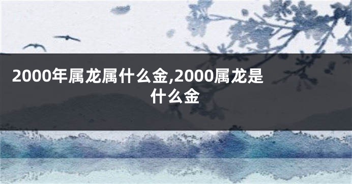 2000年属龙属什么金,2000属龙是什么金