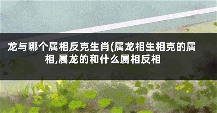 龙与哪个属相反克生肖(属龙相生相克的属相,属龙的和什么属相反相