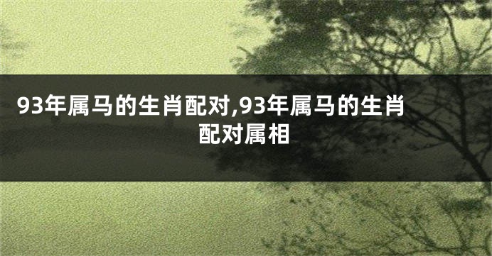 93年属马的生肖配对,93年属马的生肖配对属相