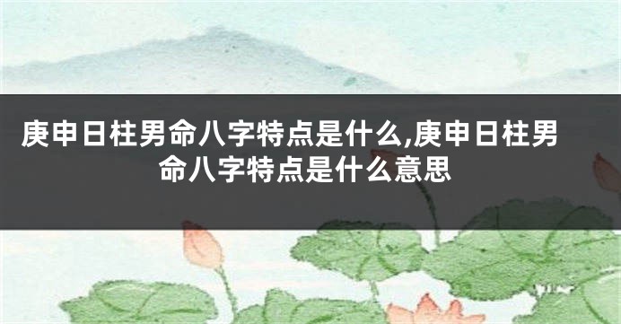 庚申日柱男命八字特点是什么,庚申日柱男命八字特点是什么意思