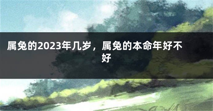 属兔的2023年几岁，属兔的本命年好不好