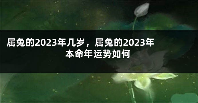 属兔的2023年几岁，属兔的2023年本命年运势如何