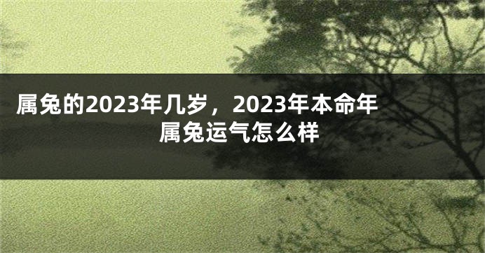 属兔的2023年几岁，2023年本命年属兔运气怎么样