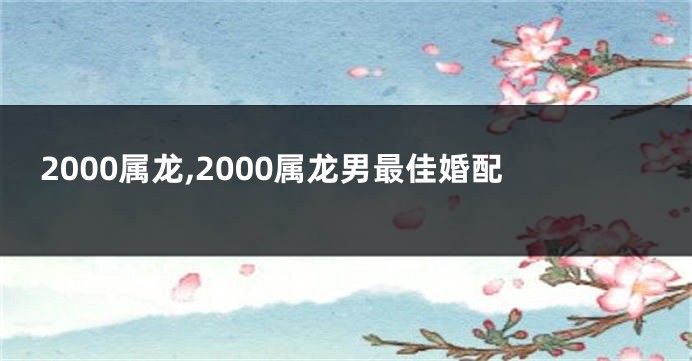 2000属龙,2000属龙男最佳婚配