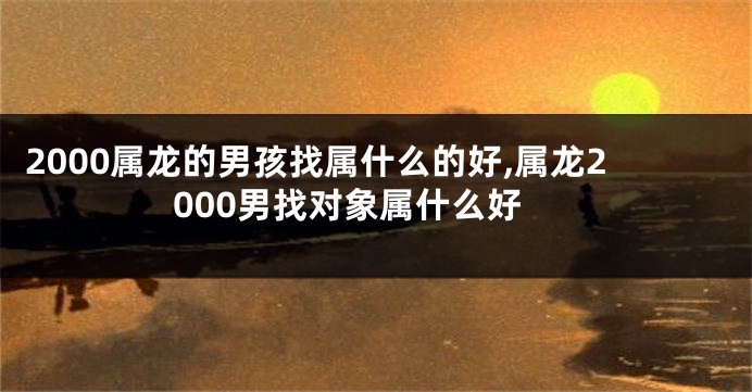 2000属龙的男孩找属什么的好,属龙2000男找对象属什么好