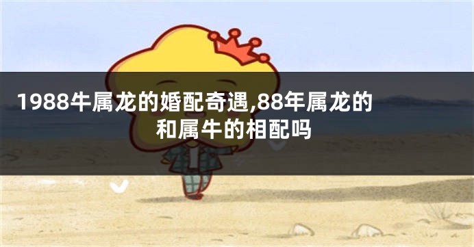 1988牛属龙的婚配奇遇,88年属龙的和属牛的相配吗