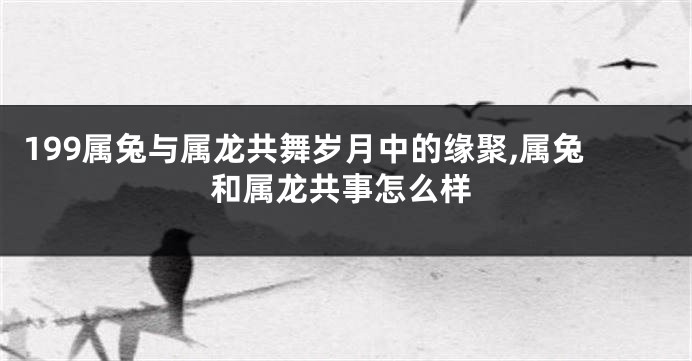 199属兔与属龙共舞岁月中的缘聚,属兔和属龙共事怎么样