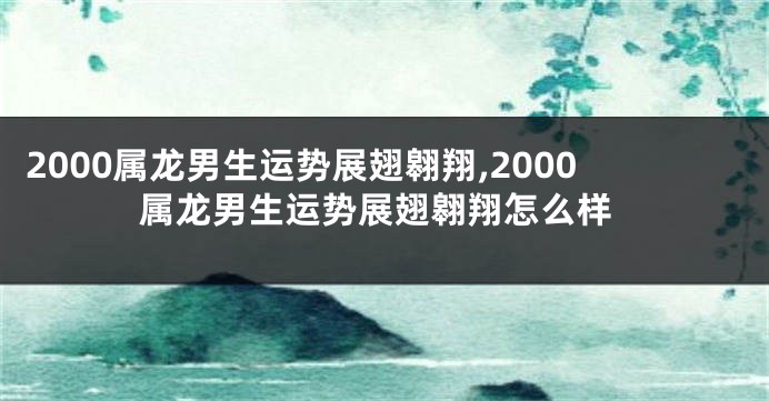 2000属龙男生运势展翅翱翔,2000属龙男生运势展翅翱翔怎么样