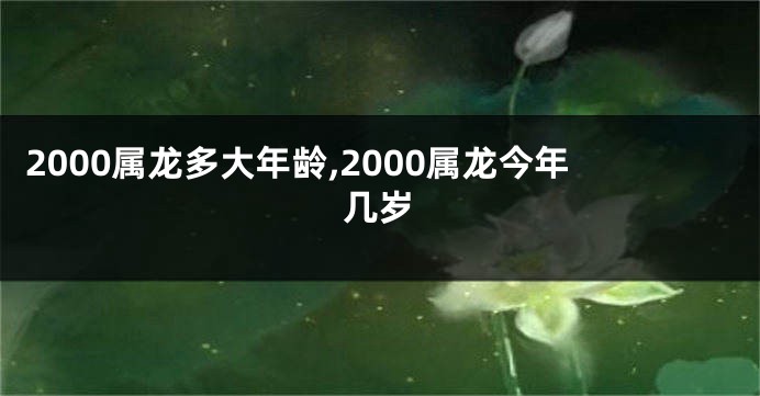 2000属龙多大年龄,2000属龙今年几岁