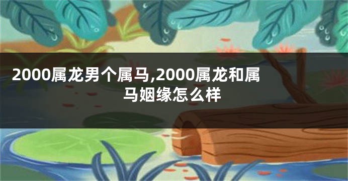 2000属龙男个属马,2000属龙和属马姻缘怎么样