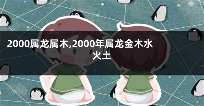 2000属龙属木,2000年属龙金木水火土