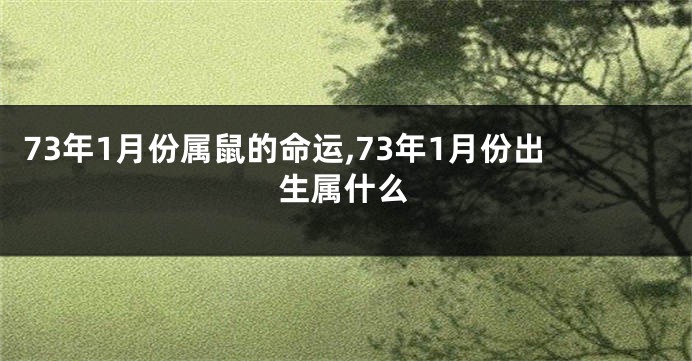 73年1月份属鼠的命运,73年1月份出生属什么