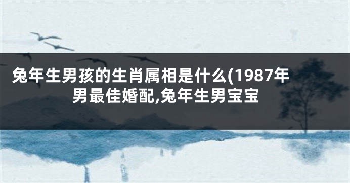 兔年生男孩的生肖属相是什么(1987年男最佳婚配,兔年生男宝宝