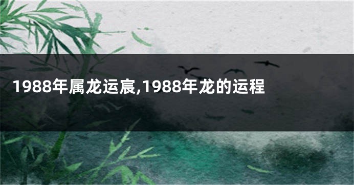 1988年属龙运宸,1988年龙的运程