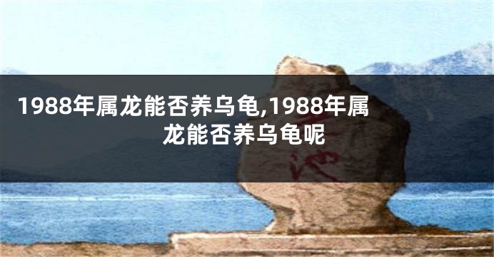 1988年属龙能否养乌龟,1988年属龙能否养乌龟呢