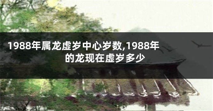 1988年属龙虚岁中心岁数,1988年的龙现在虚岁多少