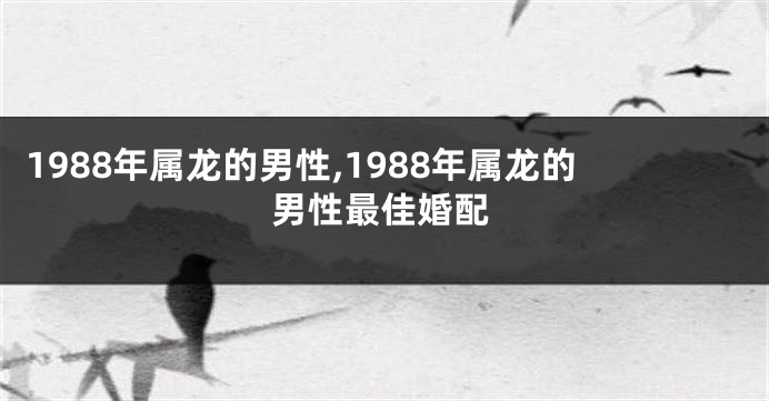 1988年属龙的男性,1988年属龙的男性最佳婚配