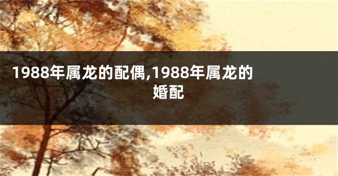 1988年属龙的配偶,1988年属龙的婚配