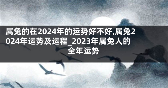 属兔的在2024年的运势好不好,属兔2024年运势及运程_2023年属兔人的全年运势