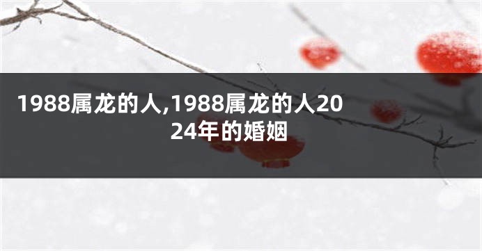 1988属龙的人,1988属龙的人2024年的婚姻