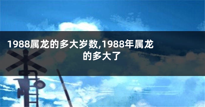 1988属龙的多大岁数,1988年属龙的多大了