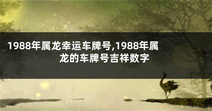 1988年属龙幸运车牌号,1988年属龙的车牌号吉祥数字