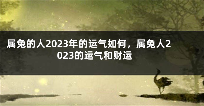 属兔的人2023年的运气如何，属兔人2023的运气和财运