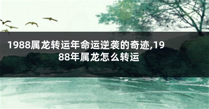 1988属龙转运年命运逆袭的奇迹,1988年属龙怎么转运