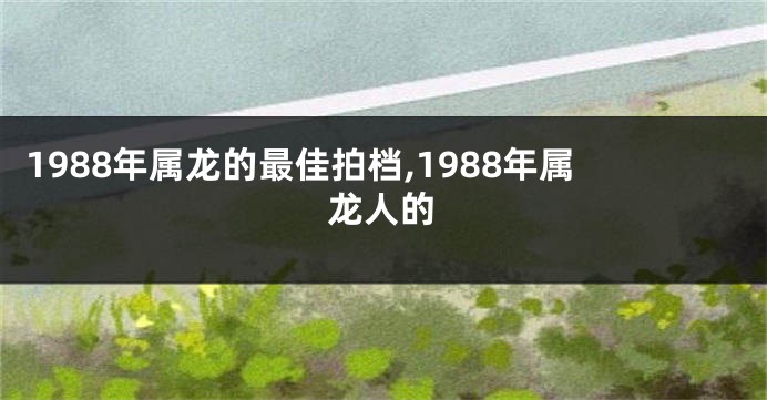 1988年属龙的最佳拍档,1988年属龙人的