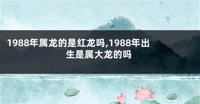 1988年属龙的是红龙吗,1988年出生是属大龙的吗