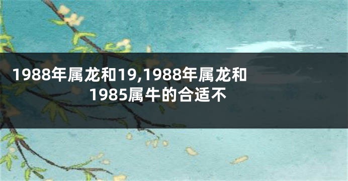 1988年属龙和19,1988年属龙和1985属牛的合适不