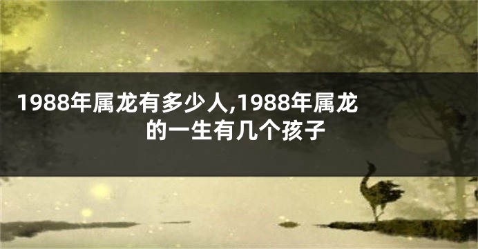 1988年属龙有多少人,1988年属龙的一生有几个孩子