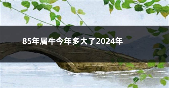 85年属牛今年多大了2024年