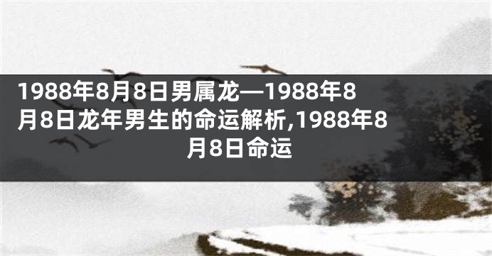 1988年8月8日男属龙—1988年8月8日龙年男生的命运解析,1988年8月8日命运