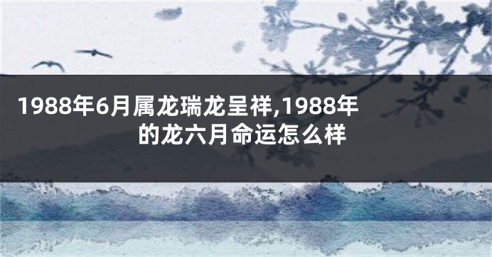 1988年6月属龙瑞龙呈祥,1988年的龙六月命运怎么样