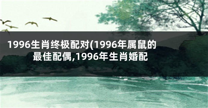 1996生肖终极配对(1996年属鼠的最佳配偶,1996年生肖婚配