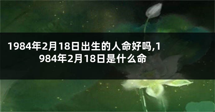 1984年2月18日出生的人命好吗,1984年2月18日是什么命