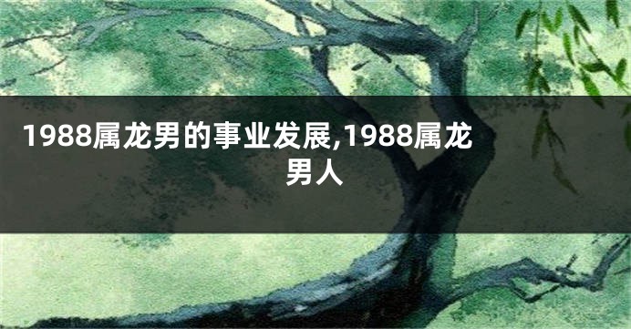 1988属龙男的事业发展,1988属龙男人