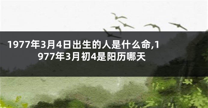 1977年3月4日出生的人是什么命,1977年3月初4是阳历哪天