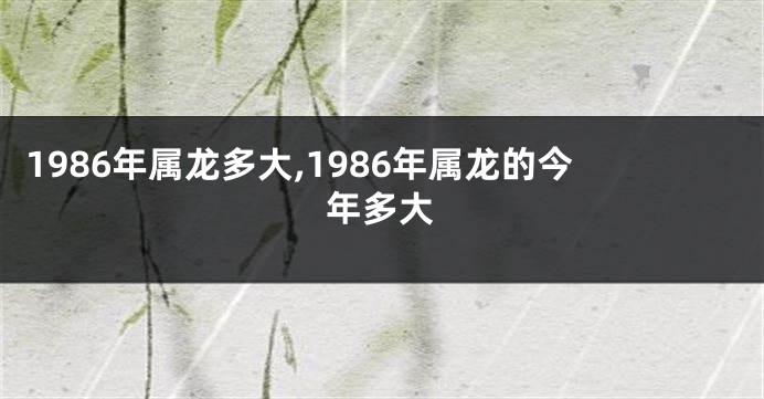 1986年属龙多大,1986年属龙的今年多大