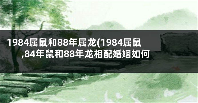 1984属鼠和88年属龙(1984属鼠,84年鼠和88年龙相配婚姻如何