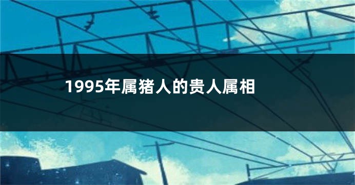 1995年属猪人的贵人属相