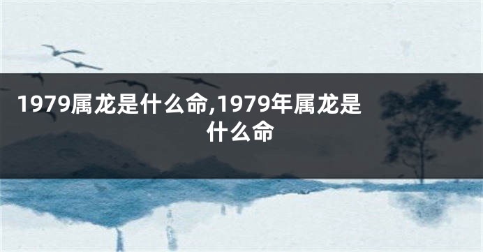 1979属龙是什么命,1979年属龙是什么命