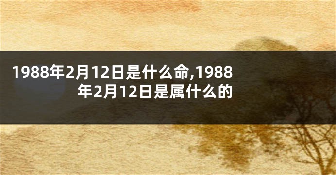 1988年2月12日是什么命,1988年2月12日是属什么的